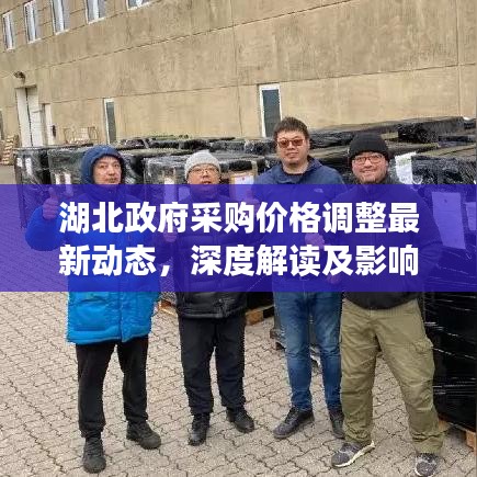 湖北政府采购价格调整最新动态，深度解读及影响分析
