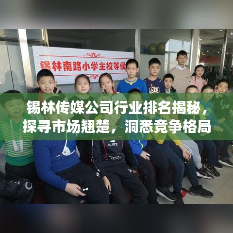 锡林传媒公司行业排名揭秘，探寻市场翘楚，洞悉竞争格局全貌