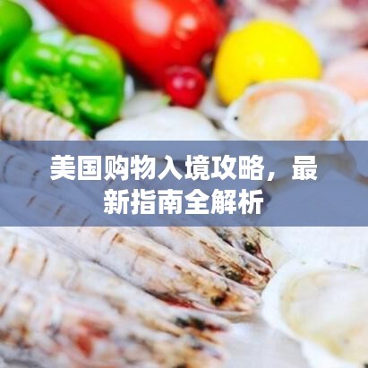 美国购物入境攻略，最新指南全解析