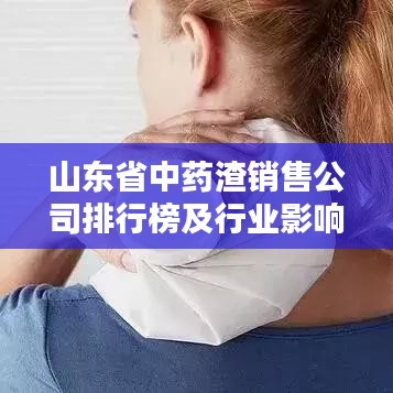 山东省中药渣销售公司排行榜及行业影响力深度解析