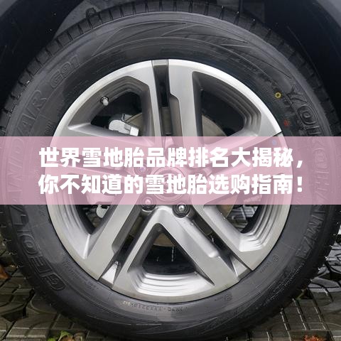 世界雪地胎品牌排名大揭秘，你不知道的雪地胎选购指南！