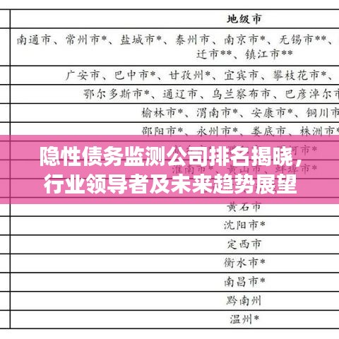 隐性债务监测公司排名揭晓，行业领导者及未来趋势展望