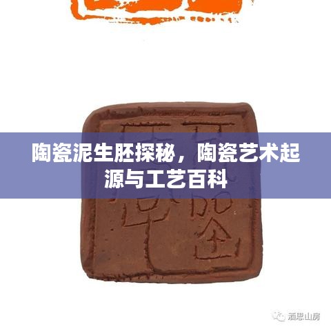 陶瓷泥生胚探秘，陶瓷艺术起源与工艺百科