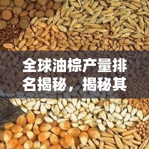 全球油棕产量排名揭秘，揭秘其在世界经济中的关键地位