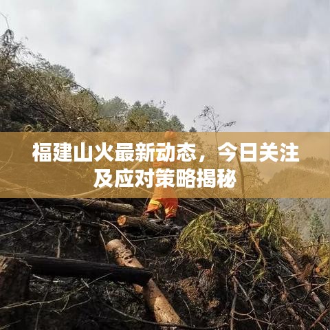 福建山火最新动态，今日关注及应对策略揭秘