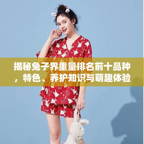 揭秘兔子界重量排名前十品种，特色、养护知识与萌趣体验