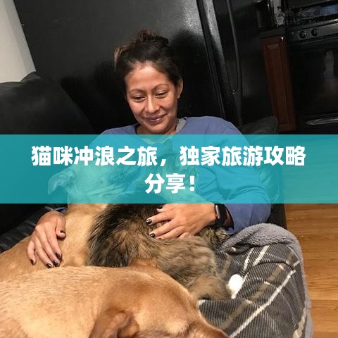 猫咪冲浪之旅，独家旅游攻略分享！