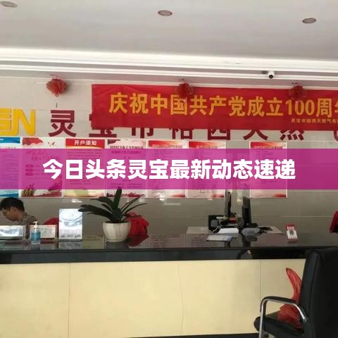 今日头条灵宝最新动态速递