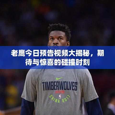 老鹰今日预告视频大揭秘，期待与惊喜的碰撞时刻