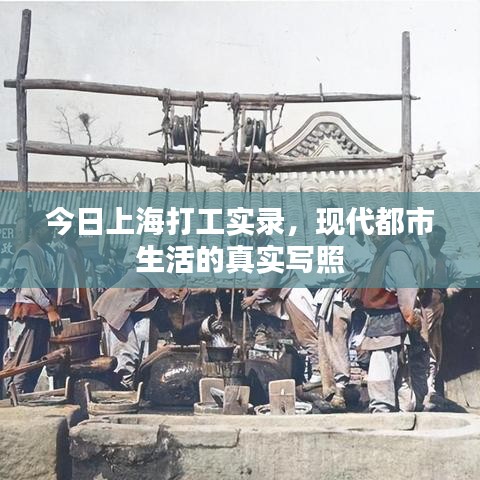 今日上海打工实录，现代都市生活的真实写照