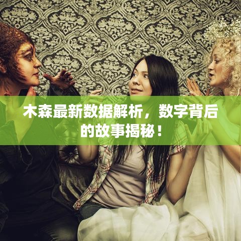 木森最新数据解析，数字背后的故事揭秘！