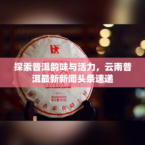探索普洱韵味与活力，云南普洱最新新闻头条速递