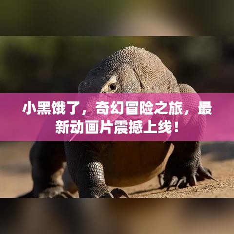 小黑饿了，奇幻冒险之旅，最新动画片震撼上线！