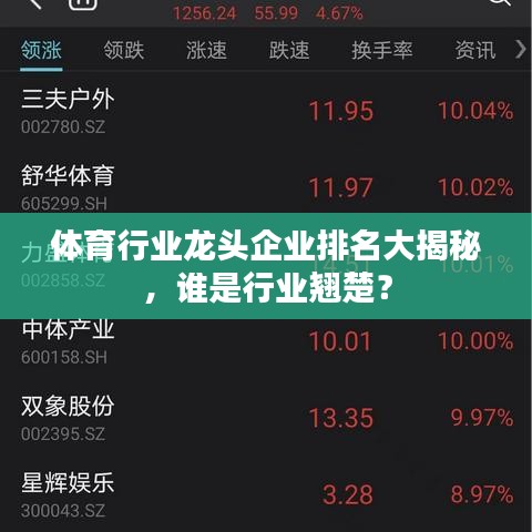 体育行业龙头企业排名大揭秘，谁是行业翘楚？
