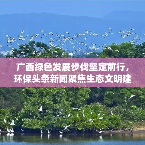 广西绿色发展步伐坚定前行，环保头条新闻聚焦生态文明建设