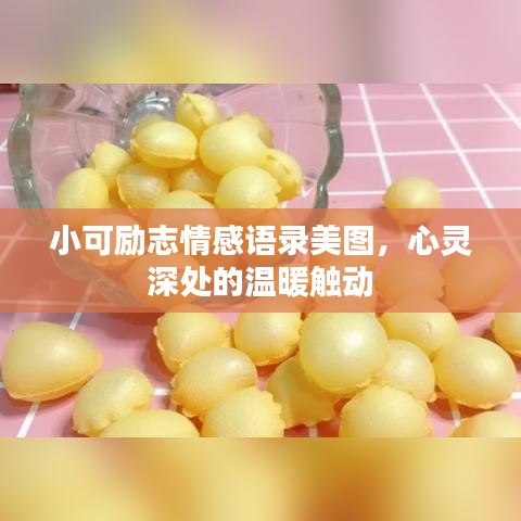 小可励志情感语录美图，心灵深处的温暖触动