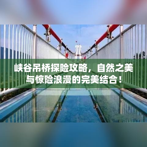峡谷吊桥探险攻略，自然之美与惊险浪漫的完美结合！