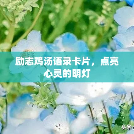 励志鸡汤语录卡片，点亮心灵的明灯