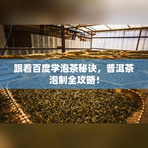 跟着百度学泡茶秘诀，普洱茶泡制全攻略！