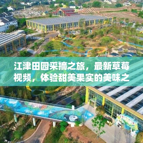 江津田园采摘之旅，最新草莓视频，体验甜美果实的美味之旅