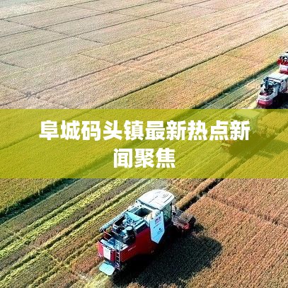 阜城码头镇最新热点新闻聚焦