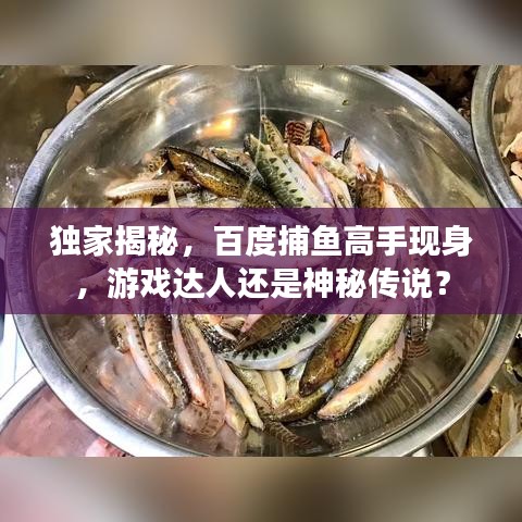 独家揭秘，百度捕鱼高手现身，游戏达人还是神秘传说？