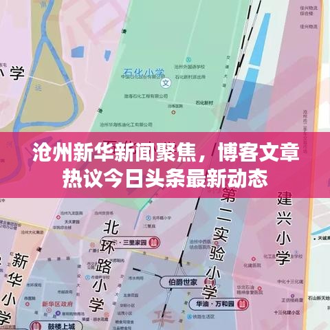 沧州新华新闻聚焦，博客文章热议今日头条最新动态
