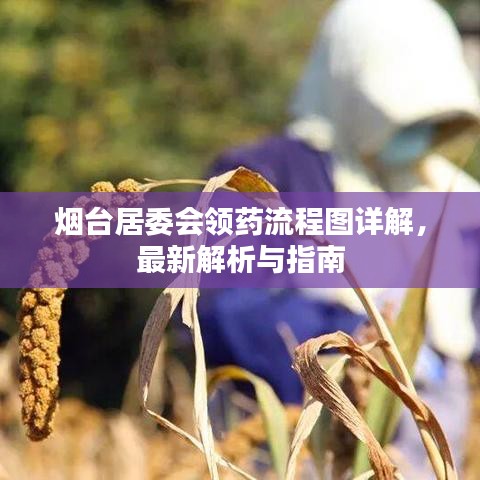 烟台居委会领药流程图详解，最新解析与指南