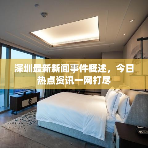 深圳最新新闻事件概述，今日热点资讯一网打尽