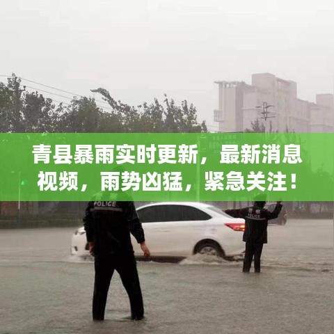 青县暴雨实时更新，最新消息视频，雨势凶猛，紧急关注！