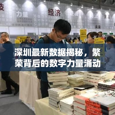深圳最新数据揭秘，繁荣背后的数字力量涌动