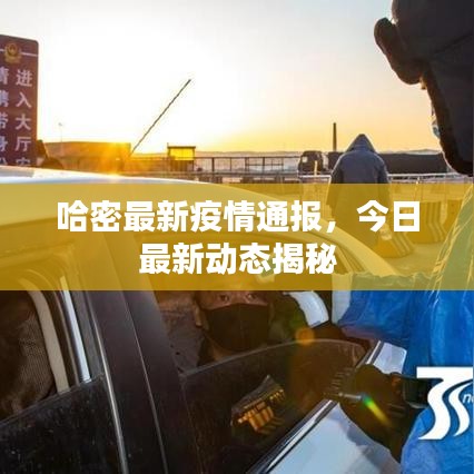 哈密最新疫情通报，今日最新动态揭秘