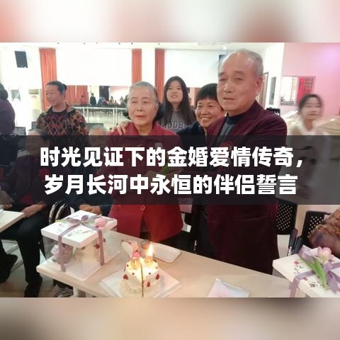 时光见证下的金婚爱情传奇，岁月长河中永恒的伴侣誓言
