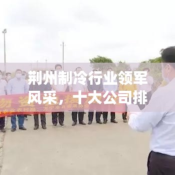 荆州制冷行业领军风采，十大公司排名榜单揭晓！