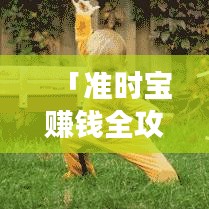 「准时宝赚钱全攻略，最新方法助你轻松实现财富增长」