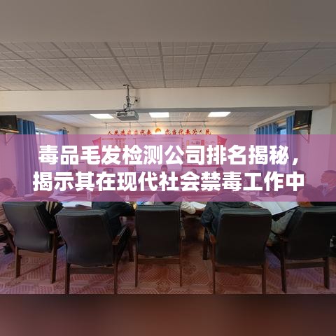 毒品毛发检测公司排名揭秘，揭示其在现代社会禁毒工作中的关键作用