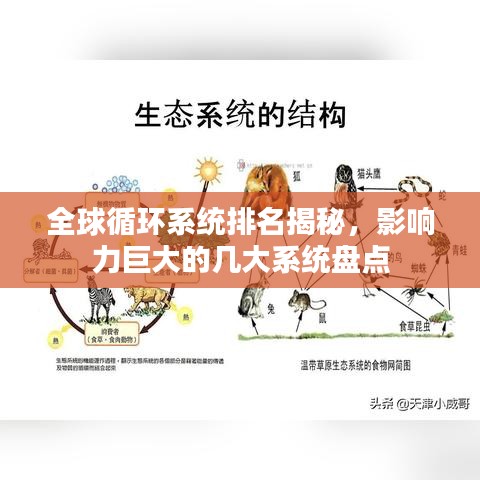 全球循环系统排名揭秘，影响力巨大的几大系统盘点