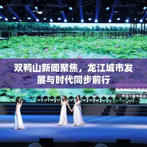 双鸭山新闻聚焦，龙江城市发展与时代同步前行