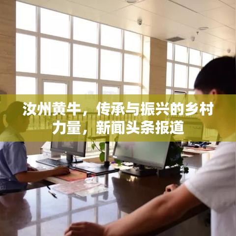 汝州黄牛，传承与振兴的乡村力量，新闻头条报道
