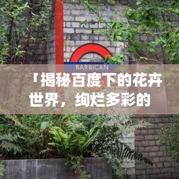 「揭秘百度下的花卉世界，绚烂多彩的花卉探秘之旅！」