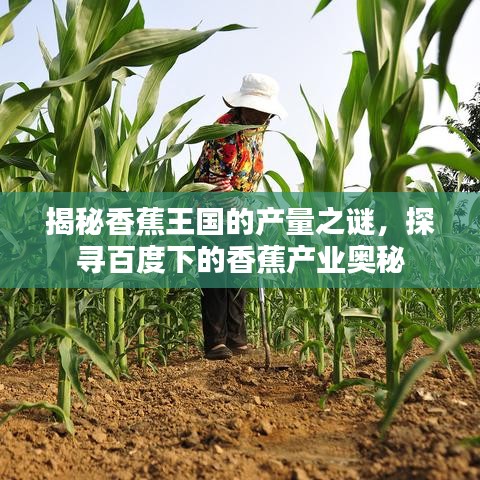 揭秘香蕉王国的产量之谜，探寻百度下的香蕉产业奥秘