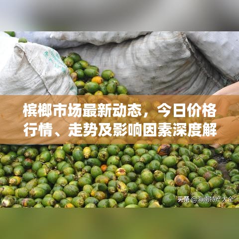 槟榔市场最新动态，今日价格行情、走势及影响因素深度解析