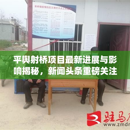 平舆射桥项目最新进展与影响揭秘，新闻头条重磅关注