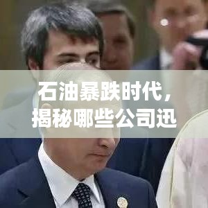 石油暴跌时代，揭秘哪些公司迅速适应变革的排名
