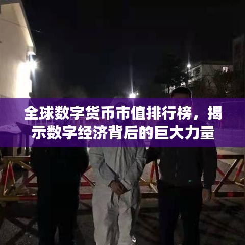 全球数字货币市值排行榜，揭示数字经济背后的巨大力量