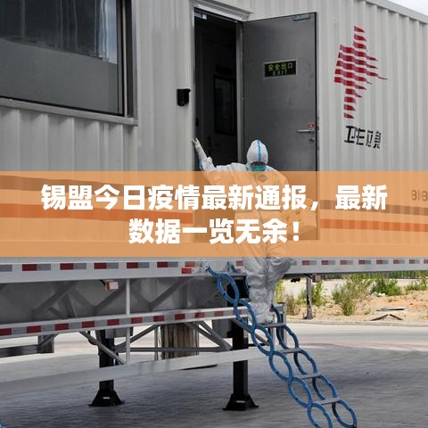 锡盟今日疫情最新通报，最新数据一览无余！