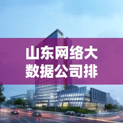 山东网络大数据公司排名大揭秘，探寻行业佼佼者！
