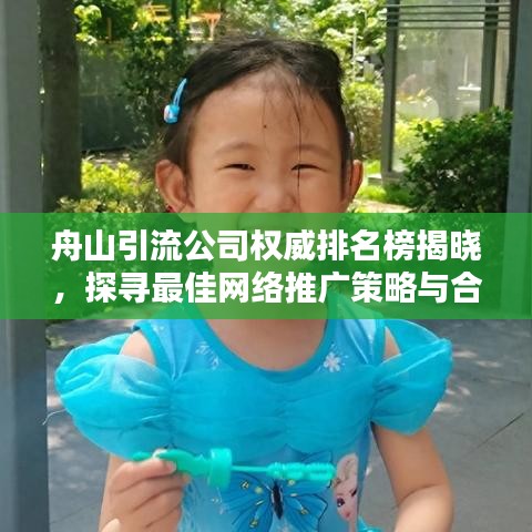 舟山引流公司权威排名榜揭晓，探寻最佳网络推广策略与合作伙伴选择指南