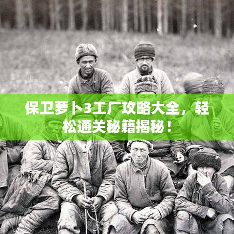 2025年5月24日 第3页
