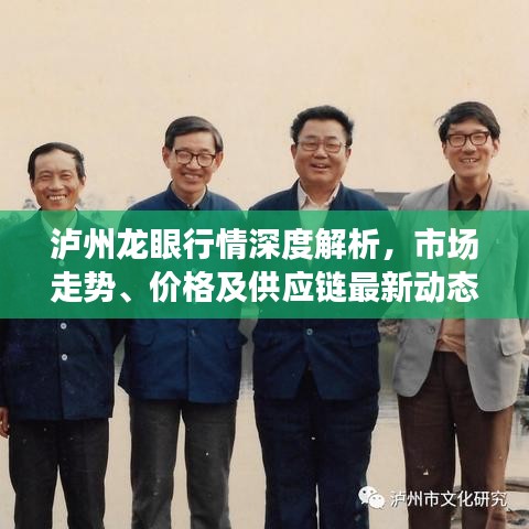 泸州龙眼行情深度解析，市场走势、价格及供应链最新动态